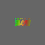 Sorry I'm So SLOW Snail Car Sticker