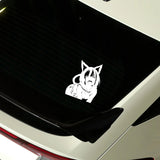 Anime Cat Girl Lick Sticker Decal