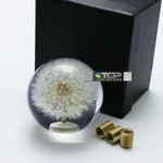 Dandelion Bubble Shift Knob 70mm - Shift Knobs 2
