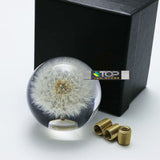 Dandelion Bubble Shift Knob 70mm - Shift Knobs 2