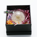 Dandelion Bubble Shift Knob 70mm - Shift Knobs 3