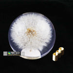 Dandelion Bubble Shift Knob 70mm - Shift Knobs 4