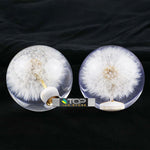Dandelion Bubble Shift Knob 70mm - Shift Knobs 5
